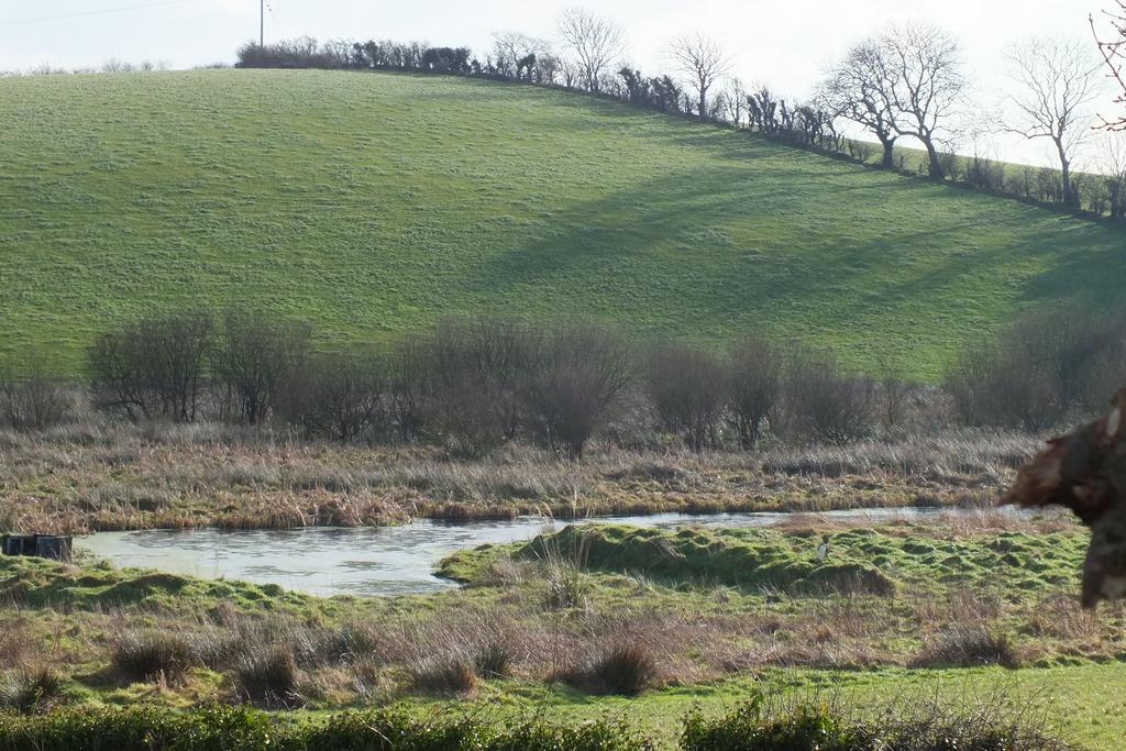 Barnwell Farm Cottages Corn Cottage Greyabbey 客房 照片