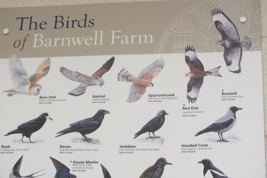 Barnwell Farm Cottages Corn Cottage Greyabbey 客房 照片